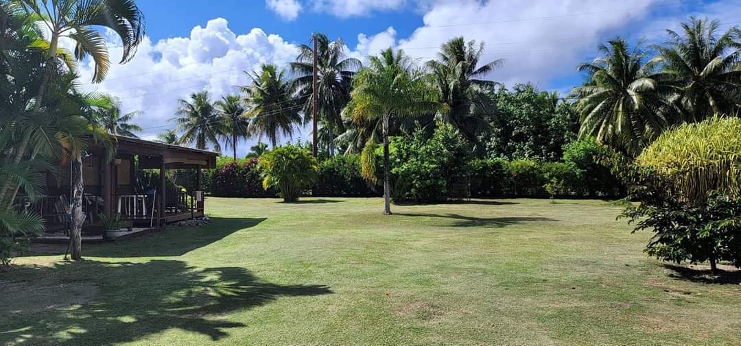 La pelouse et le jardin de cocotiers devant le Bungalow Miti